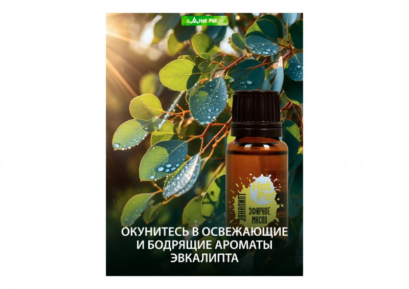 Масло эфирное эвкалипт 15мл Hot Pot
