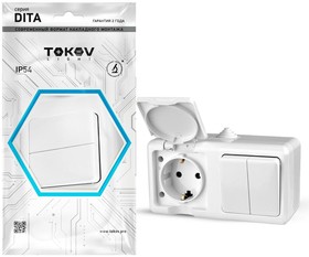Блок ОП розетка 16А 250В с/з/ выключатель 1-кл 10А Dita IP54 серый TOKOV ELECTRIC